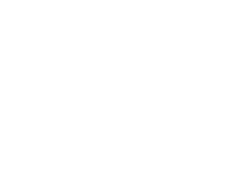 Nachfolgescout