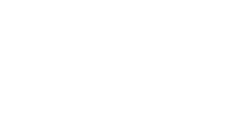 Stiftung Wald für Sachsen