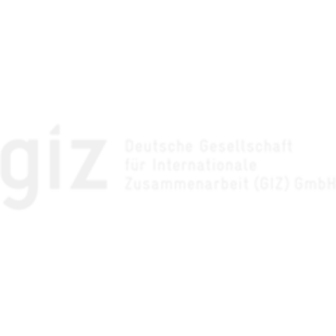 Deutsche Gesellschaft für Internationale Zusammenarbeit (GIZ)